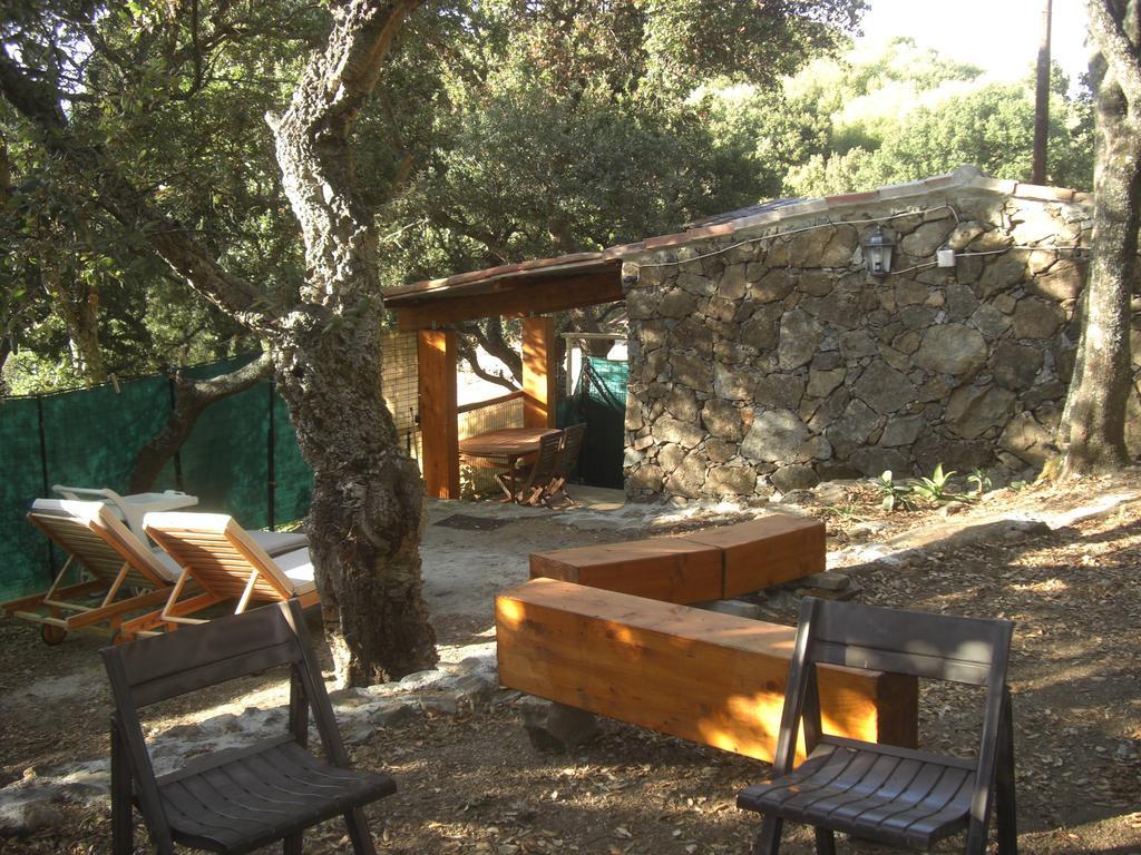 Maisonnette Du Berger De Croccano Sartène Exteriör bild